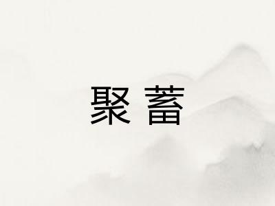 聚蓄