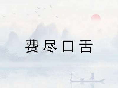费尽口舌
