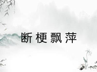 断梗飘萍