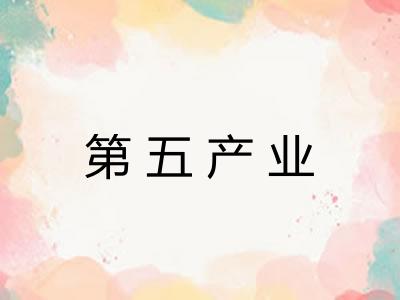 第五产业
