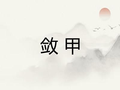 敛甲