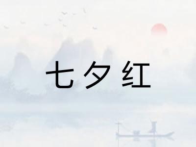七夕红