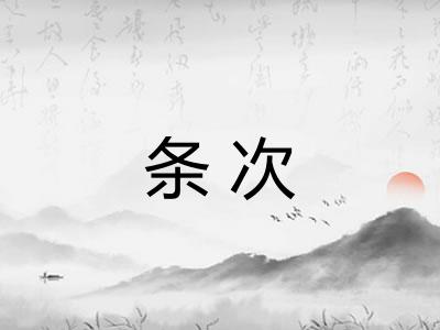 条次
