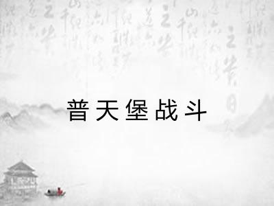 普天堡战斗