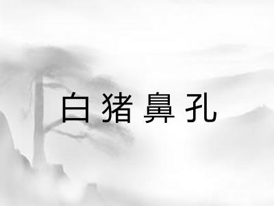 白猪鼻孔