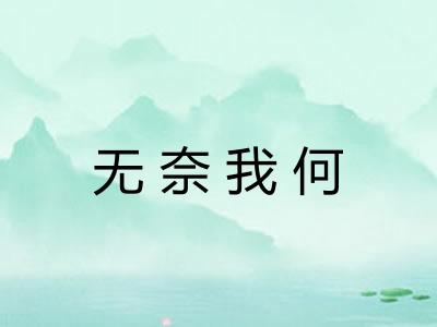 无奈我何
