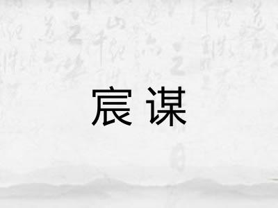 宸谋
