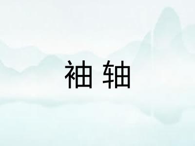 袖轴