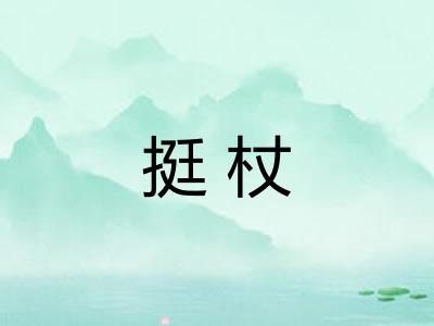 挺杖