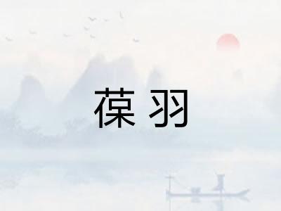 葆羽
