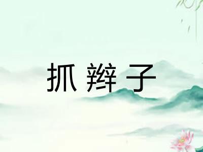 抓辫子