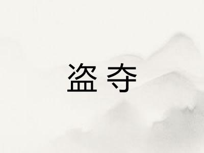 盗夺