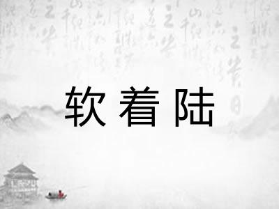 软着陆
