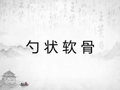 勺状软骨