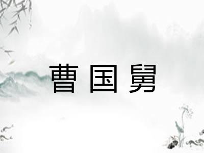曹国舅