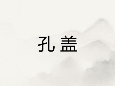 孔盖