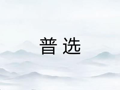普选