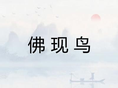 佛现鸟