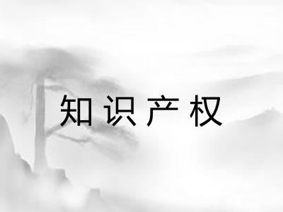 知识产权