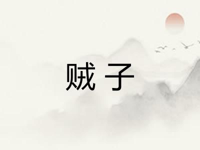 贼子
