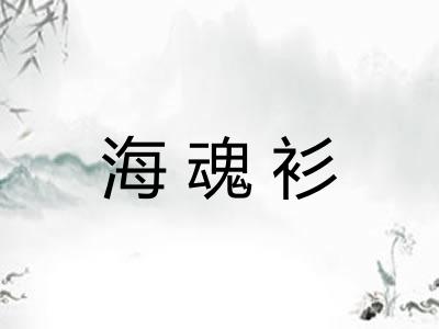 海魂衫