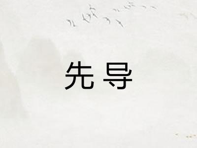 先导