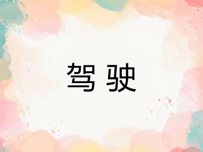 驾驶