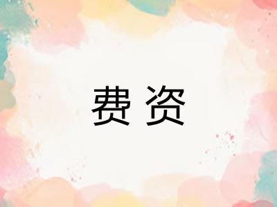 费资