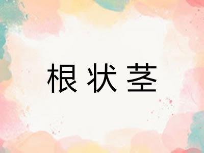 根状茎