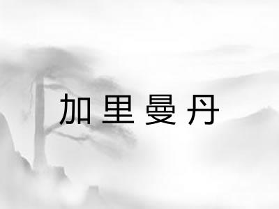 加里曼丹