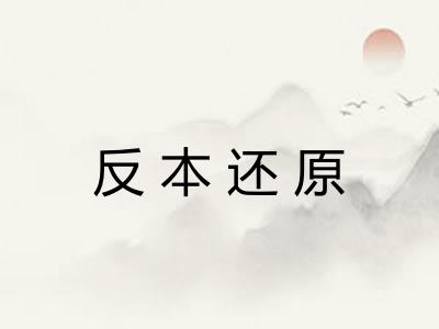 反本还原