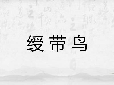 绶带鸟