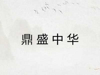 鼎盛中华