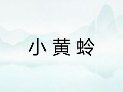 小黄蛉