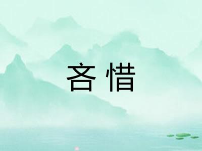 吝惜
