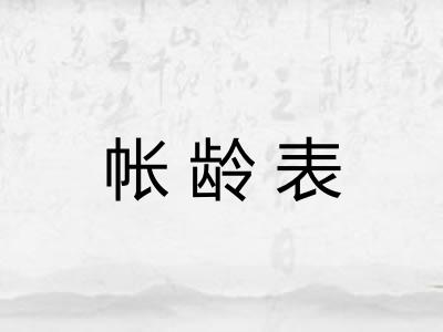 帐龄表