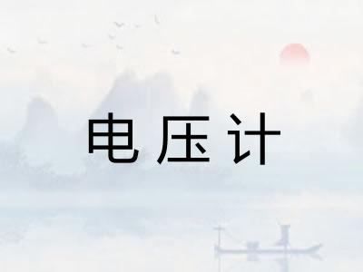 电压计