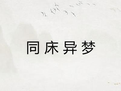 同床异梦