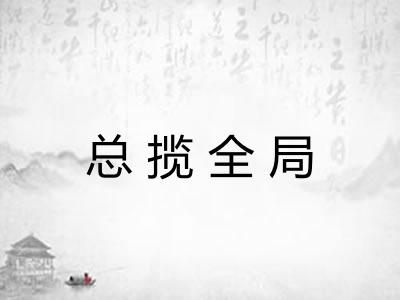 总揽全局