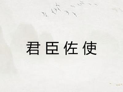 君臣佐使