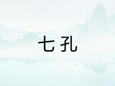 七孔