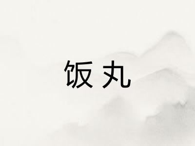 饭丸