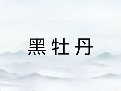 黑牡丹