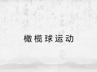 橄榄球运动