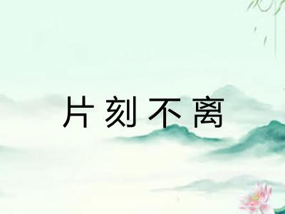 片刻不离