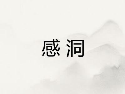 感洞
