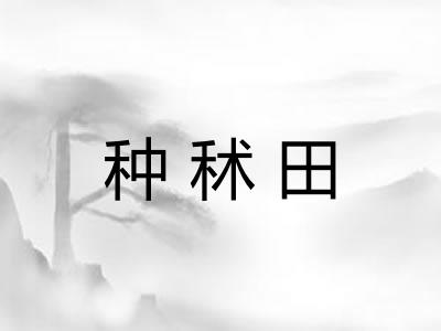 种秫田