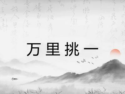 万里挑一