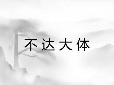 不达大体