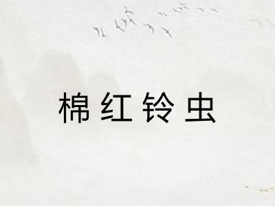 棉红铃虫